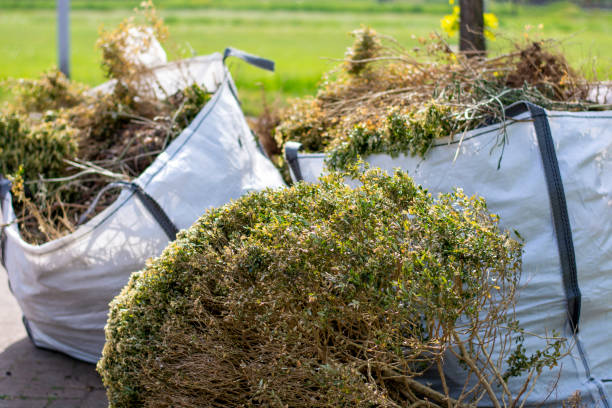 Best Dumpster Rental Services  in Apple Mountain Lake, VA